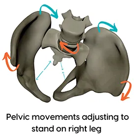 postural restoration diagram