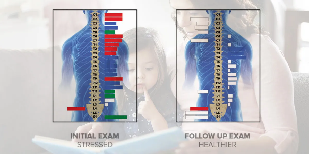 Why is good posture important? - Spectrum Chiropractic Natural Family  Healthcare