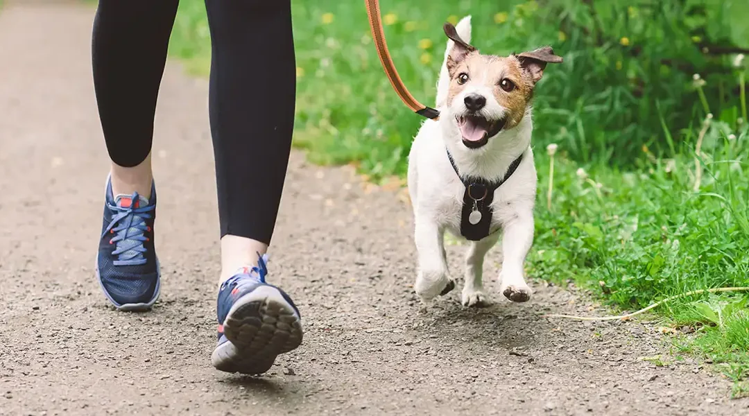 Why Thrive’s Fitness Training Programs Prioritize Rest as Much as Reps