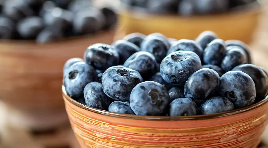 The Benefits of Blueberries: The Not-So-Secret Superfood